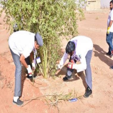 رواد كشافة المملكة يغرسون 5000 شجرة طلح بالزلفي